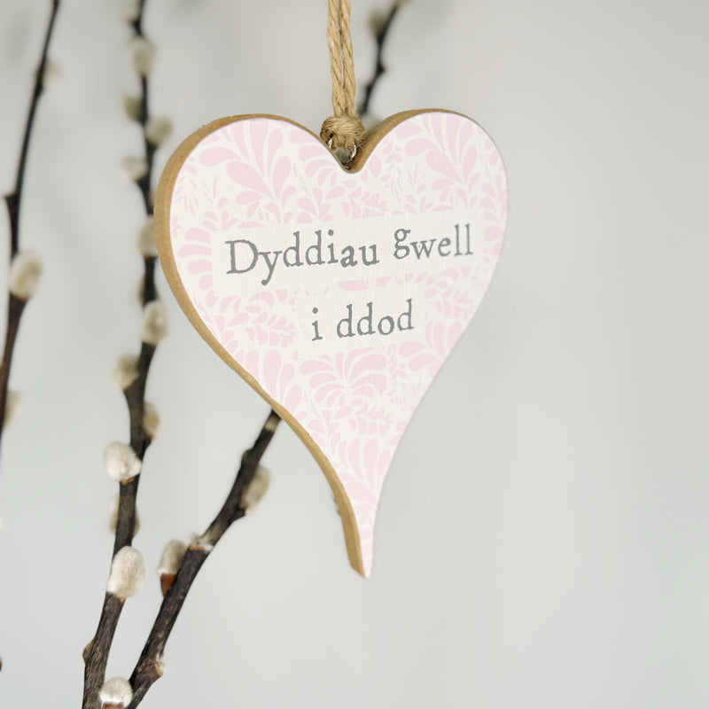 Calon Gyfeillgarwch - Dyddiau Gwell i Ddod | Welsh Friendship Heart