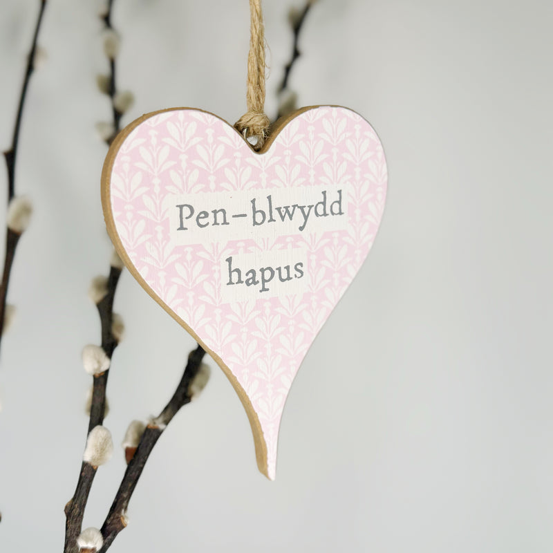 Calon Gyfeillgarwch - Pen-blwydd Hapus | Welsh Friendship Heart