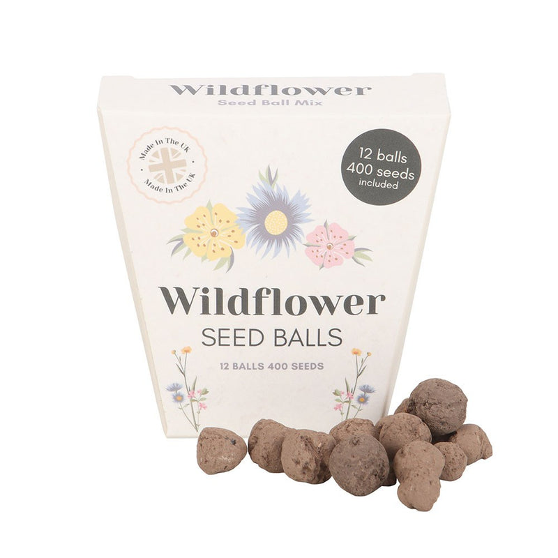 Peli Hadau - Blodau Hardd | Seed Balls - Blooming Lovely