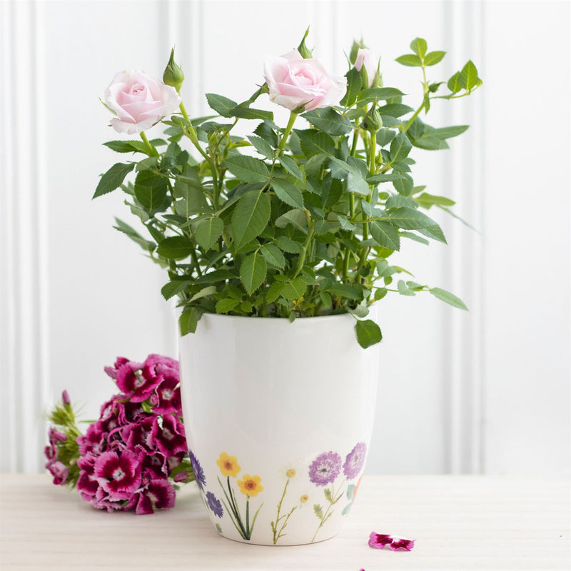 Potyn Blodau Serameg - Blodau Gwyllt | Ceramic Flower Pot - Wildflower