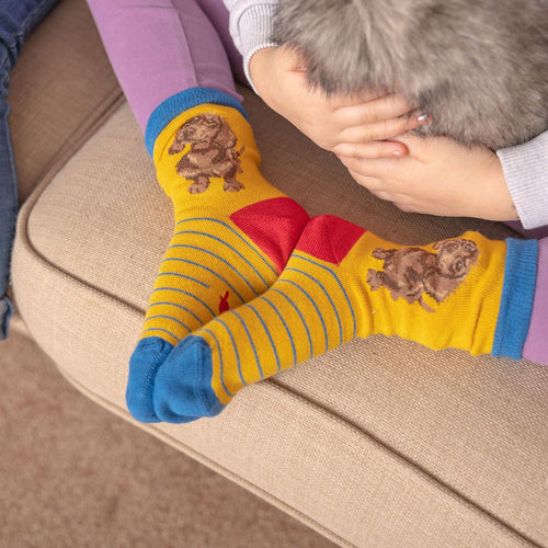 Sanau Bambŵ Plentyn Wrendale | Wrendale Children's Bamboo Socks - 'Little One' Dachshund