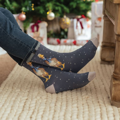 Sanau Bambŵ Dynion - Robin Goch  | Wrendale Mens Christmas Bamboo Socks - Robin