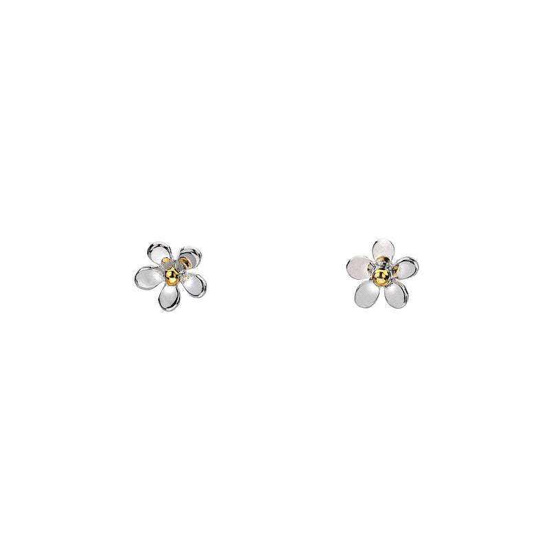 Styds Llygad y Dydd Bach Arian | Tiny Daisy Silver & Brass Studs